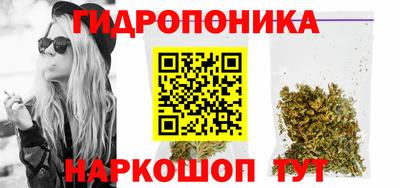 индика Бузулук