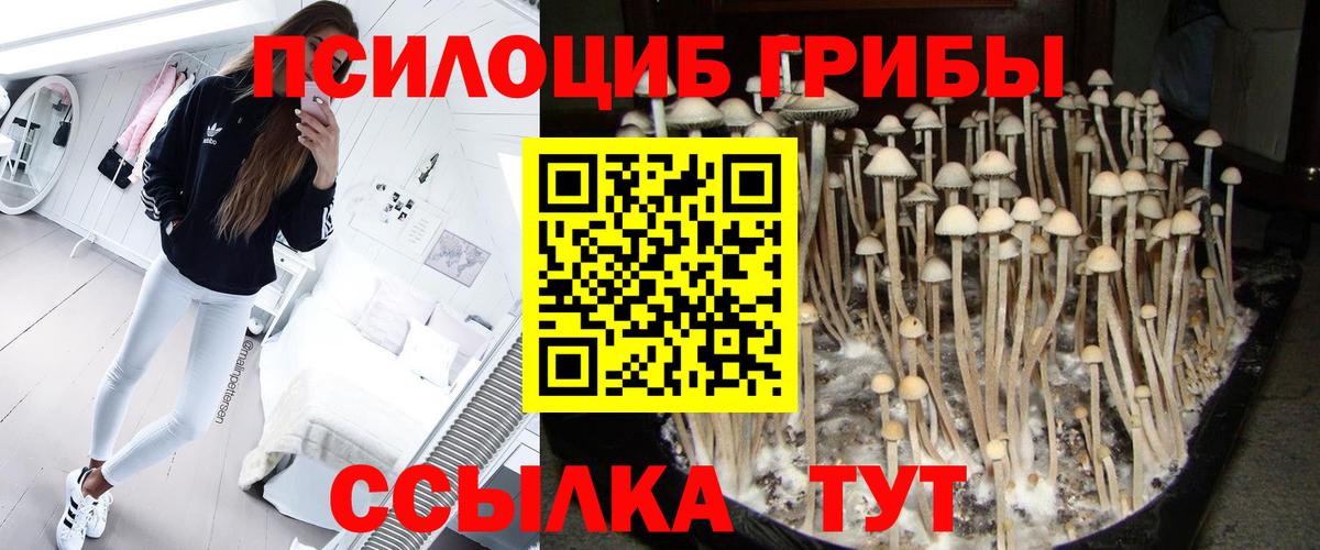 Галлюциногенные грибы ЛСД  Вход с VPN  Рыбинск  Галлюциногенные грибы MAGIC MUSHROOMS 