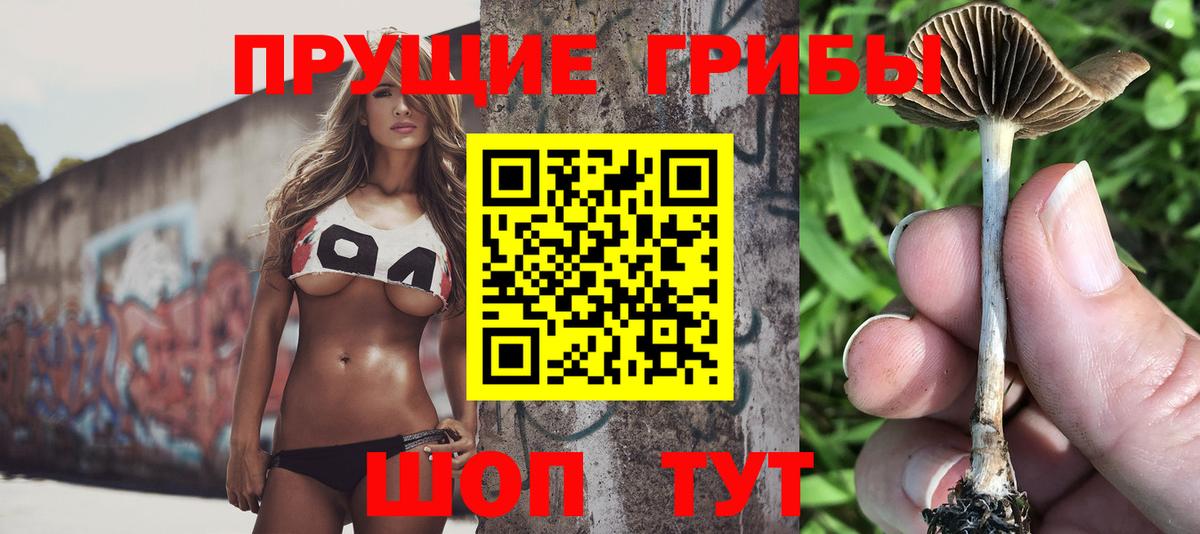 Галлюциногенные грибы Magic Shrooms Рыбинск
